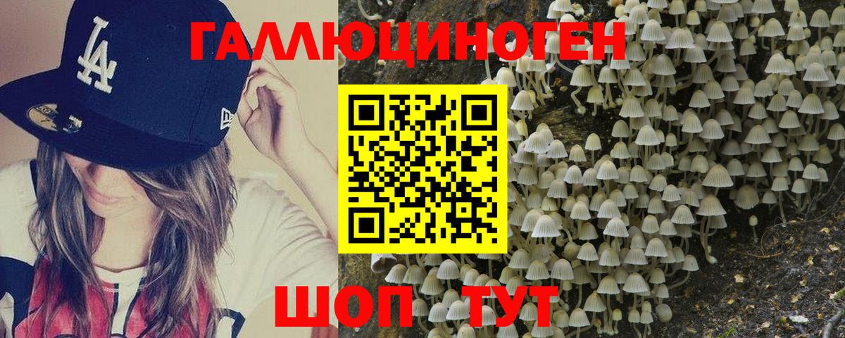 Галлюциногенные грибы прущие грибы Электрогорск